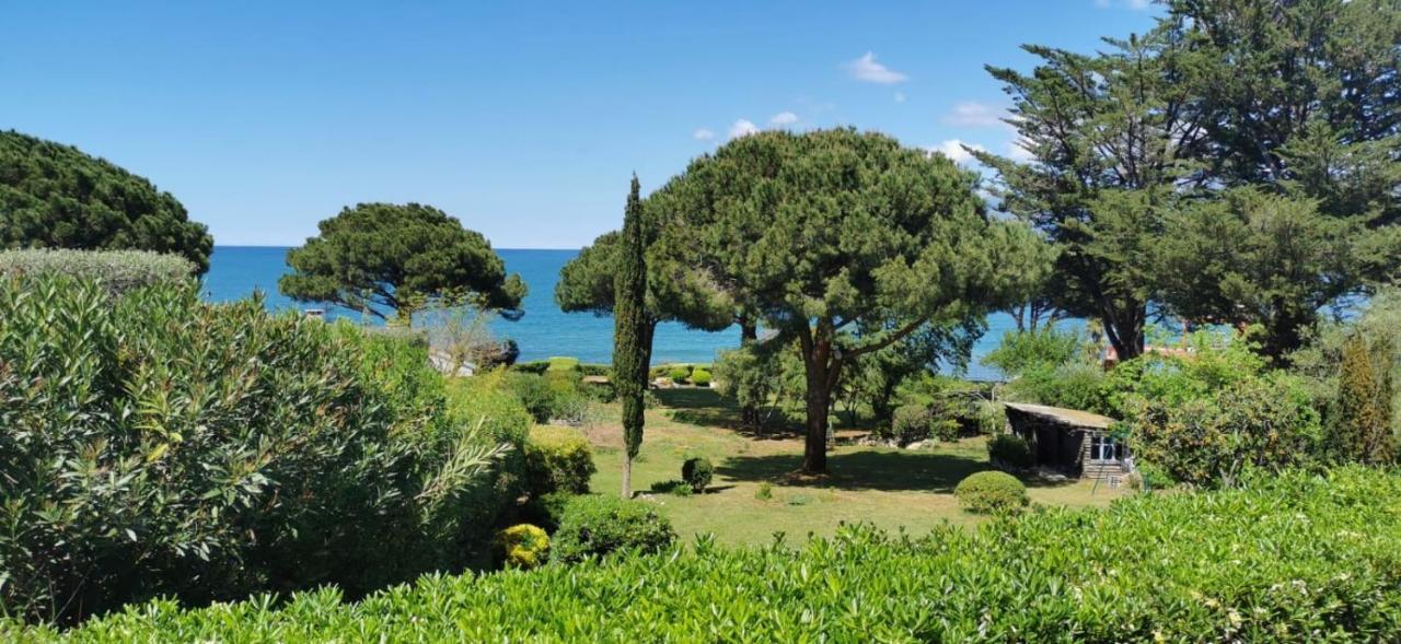 סן פלורן Villa I Merli Nous Contacter Avant Reservation מראה חיצוני תמונה